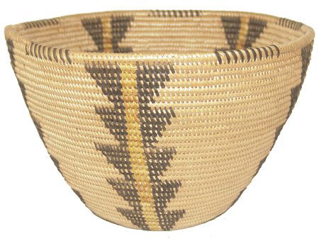 Panamint Basket (1 of 10)