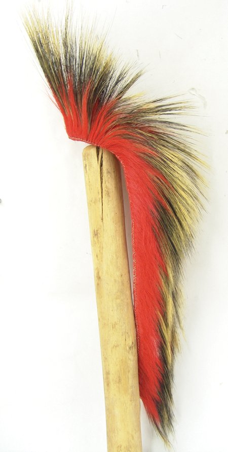 Plains Dance Roach (1 of 7)