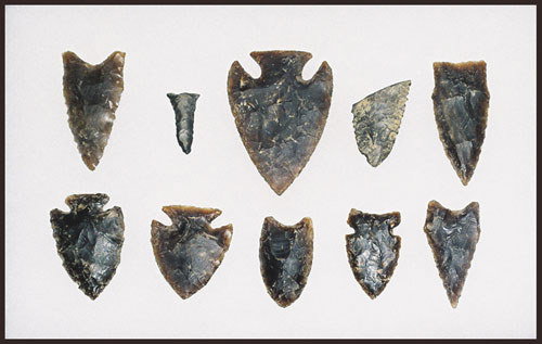 Artifact Collection