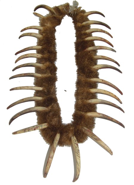 "Bear Claw" Necklace (1 of 10)