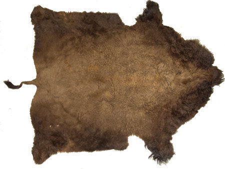 Buffalo Hide (1 of 9)
