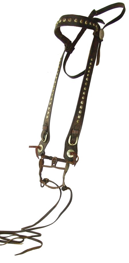 Antique Bridle (1 of 10)