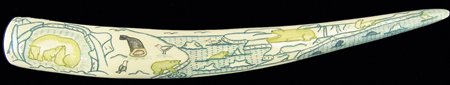 Greenland Eskimo Ivory Tusk: Ca. 1980s, Fantastic fully etched and inked scrimshaw tusks with elaborate northern scenes on both sides done in colors; signed on end. Excellent condition. 1" x 1-3/4" x 15" *Click