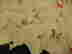 item-50605413=3