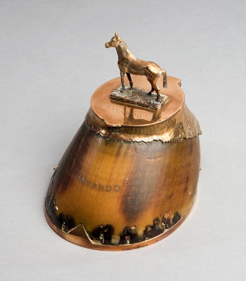 Hoof of the celebrated champion racehorse and stallion (1 of 1)