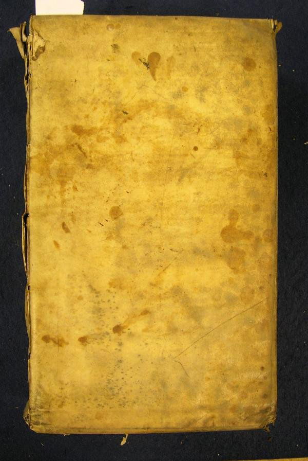 DELLA VALLE. REISS-BESCHREIBUNG - 2