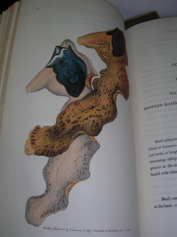 DONOVAN (E) THE NATURALIST'S REPOSITORY, MISCELLAN - 6