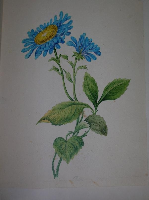 A 19TH CENTURY ALBUM, WITH VARIOUS LOOSE PENCIL - 6