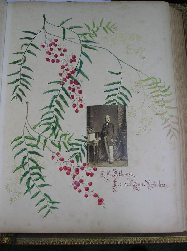 A 'SORRENTO' INLAID OLIVE-WOOD PHOTOGRAPH ALBUM, - 7