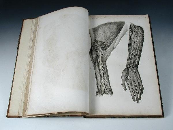 LIZARS (JOHN) A SYSTEM OF ANATOMICAL PLATES OF THE