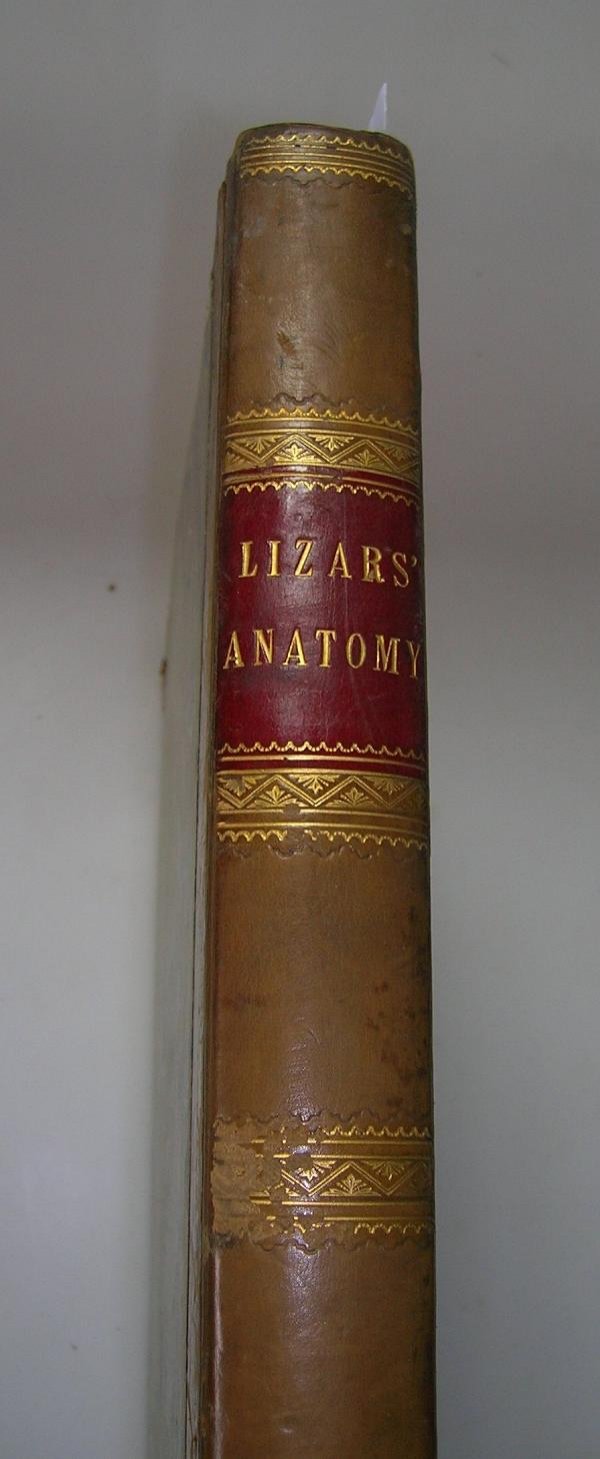 LIZARS (JOHN) A SYSTEM OF ANATOMICAL PLATES OF THE - 4