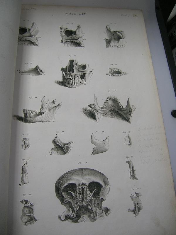 LIZARS (JOHN) A SYSTEM OF ANATOMICAL PLATES OF THE - 6
