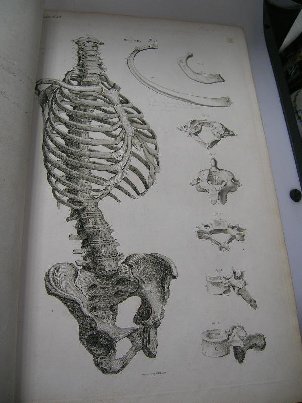 LIZARS (JOHN) A SYSTEM OF ANATOMICAL PLATES OF THE - 8