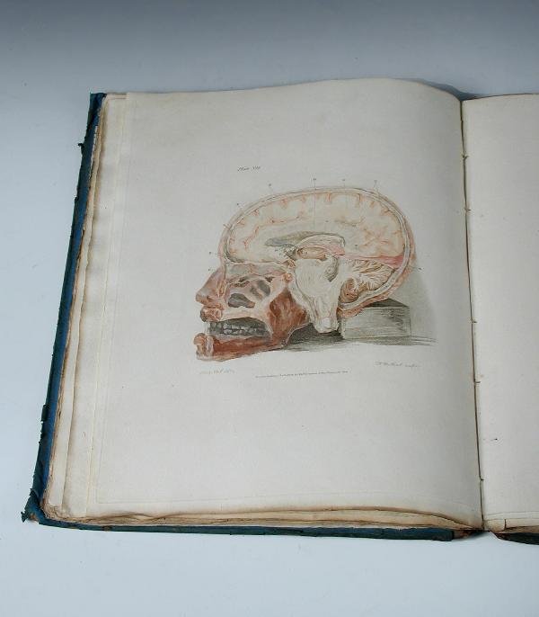 MEDICAL. BELL (CHARLES) THE ANATOMY OF THE BRAIN,