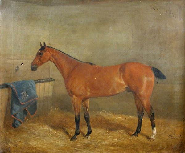 JOHN DUVALL ( 1816-1892) PORTRAIT OF A HUNTER IN: John Duvall ( 1816-1892) Portrait of a Hunter in a stable signed lower right oil on canvas 64 x 76cm Note: Ipswich painter of sporting and rustic subjects