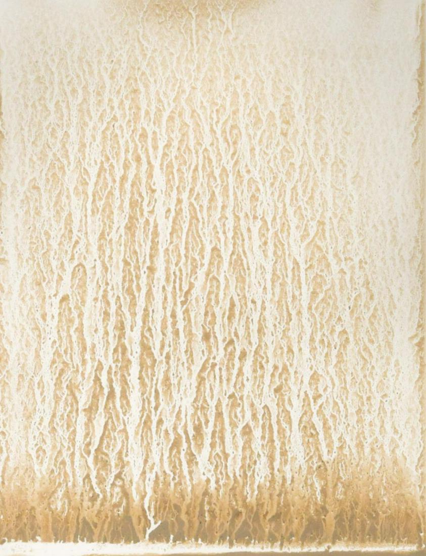§ Richard Long CBE, RA (1945-): § Richard Long CBE, RA (1945-) Untitled signed and dated 2009 to the reverse River Avon mud on paper 21 x 14.5cm Provenance: With Haunch of Venison, London Richard Long’s mud drawings are c