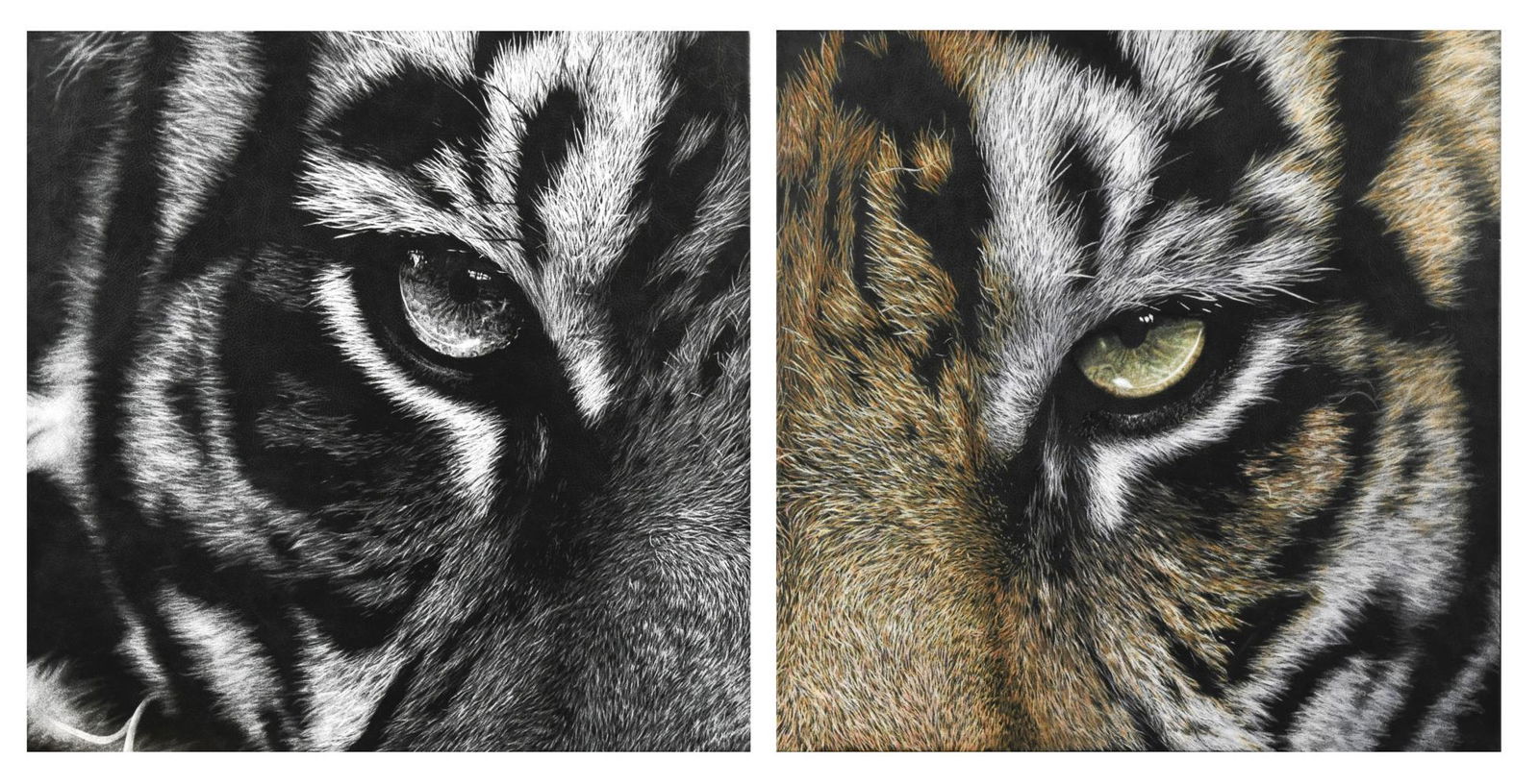 § Mark Evans (1975-): § Mark Evans (1975-) Tiger - a pair of etchings one signed with monogram to the side of the stretcher hand-etched on leather, unframed 50.5 x 50.5cm