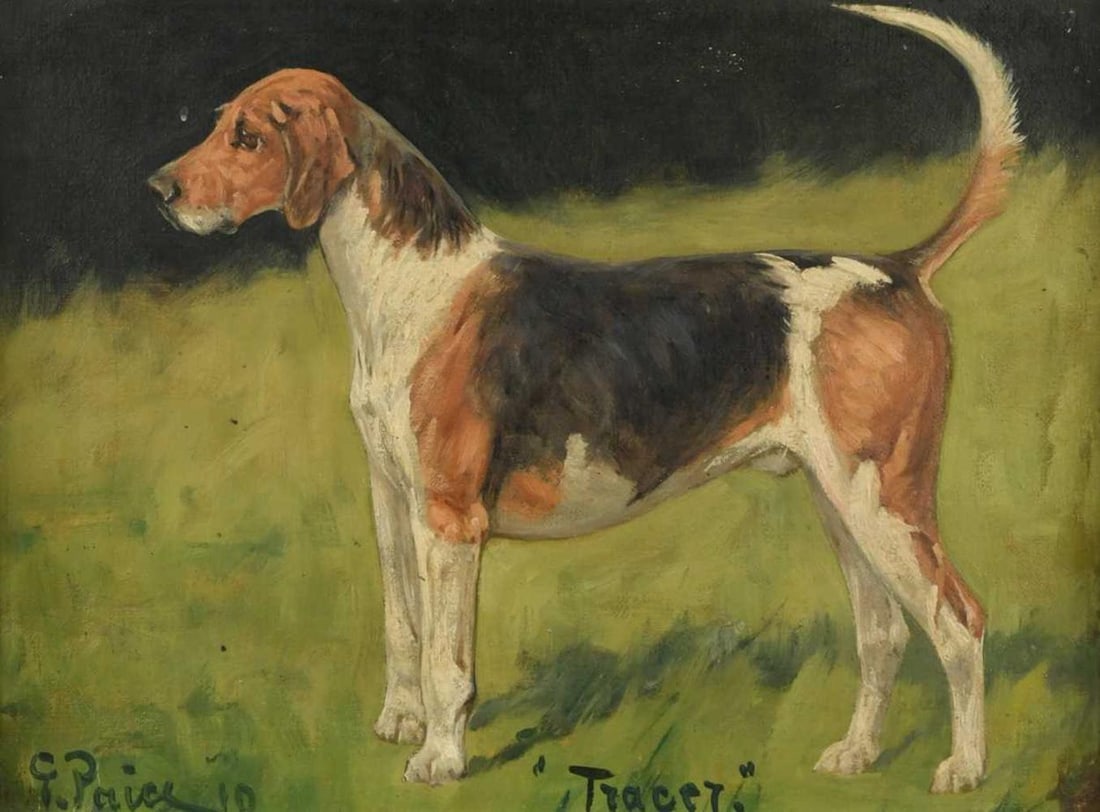 George Paice (1854-1925): George Paice (1854-1925) Portrait of Tracer, a foxhound signed and dated lower left 'G. Paice 10', inscribed with the dog's name lower centre and inscribed 'Southwold Tracer' to the reverse oil on can
