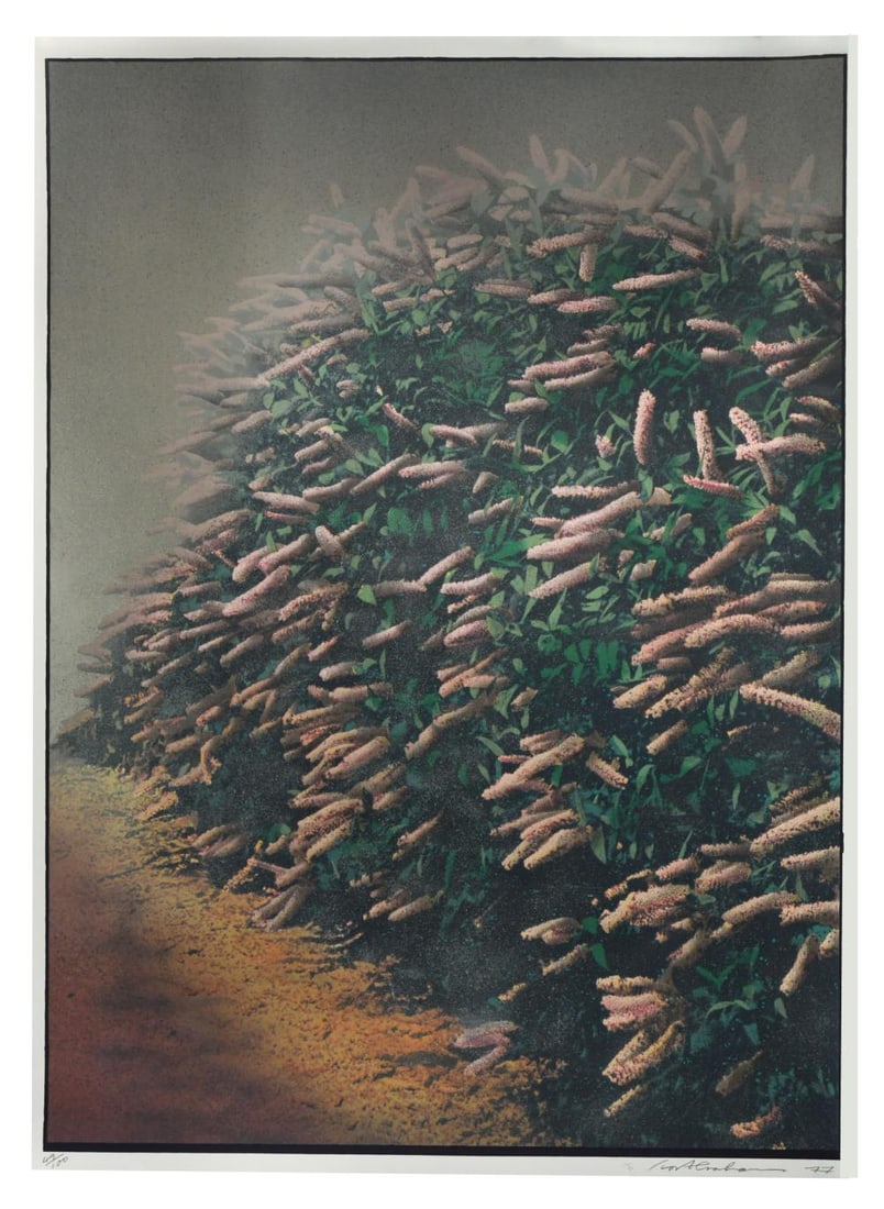 § Ivor Abrahams RA (1935-2015): § Ivor Abrahams RA (1935-2015) Hedges II signed and dated 'Ivor Abrahams 77' (lower right); numbered 49/100 screenprint, unframed 141 x 102.5cm