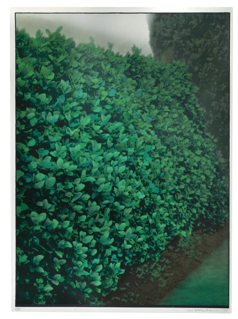 § Ivor Abrahams RA (1935-2015): § Ivor Abrahams RA (1935-2015) Hedges I signed and dated 'Ivor Abrahams 77' (lower right); numbered 49/100 screenprint, unframed 141 x 102.5cm