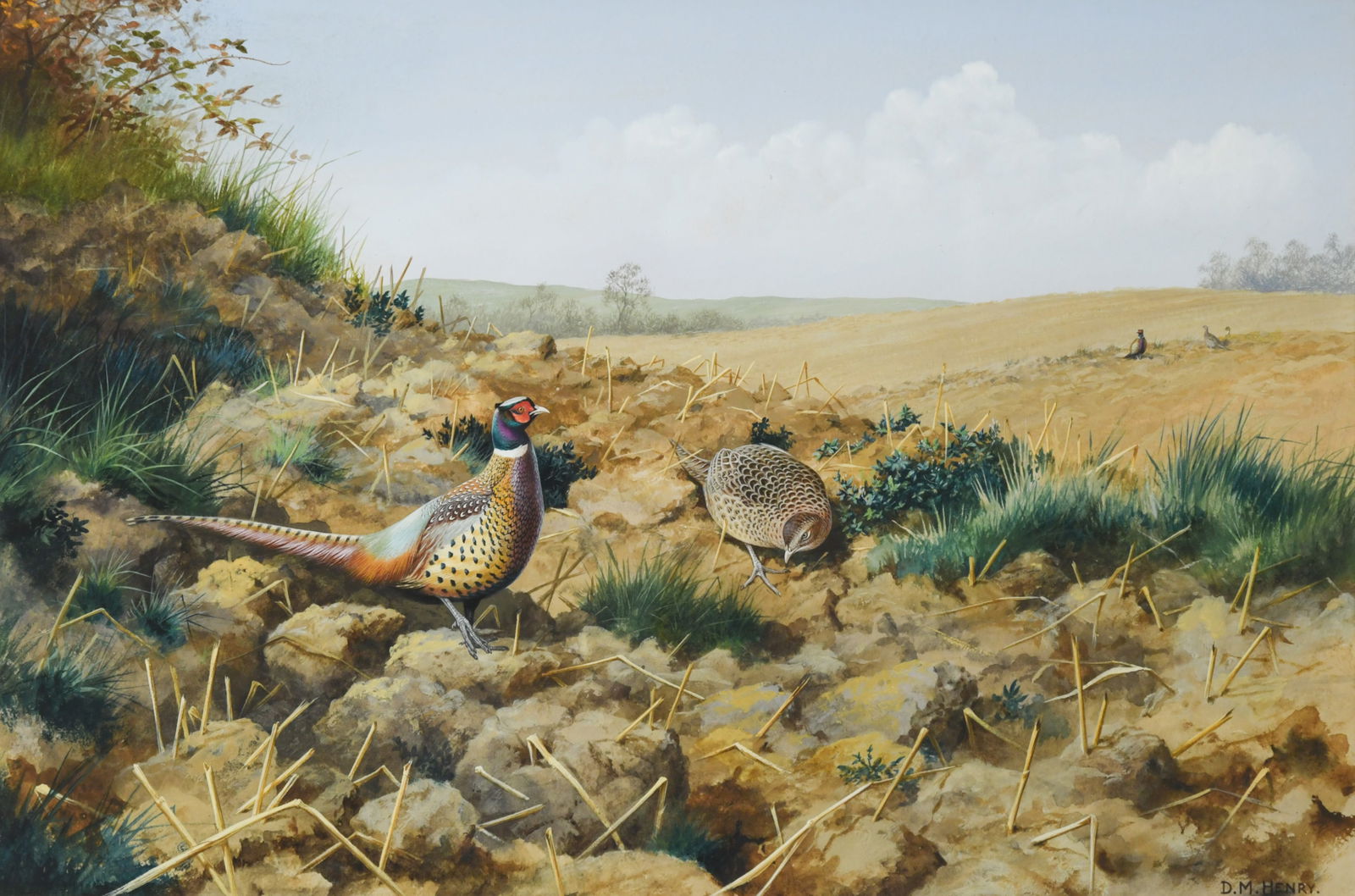 David Morrison Reid Henry (1919–1977): David Morrison Reid Henry (1919–1977) Pheasants in a field signed lower right 'D. M. HENRY' gouache 24.5 x 37cm