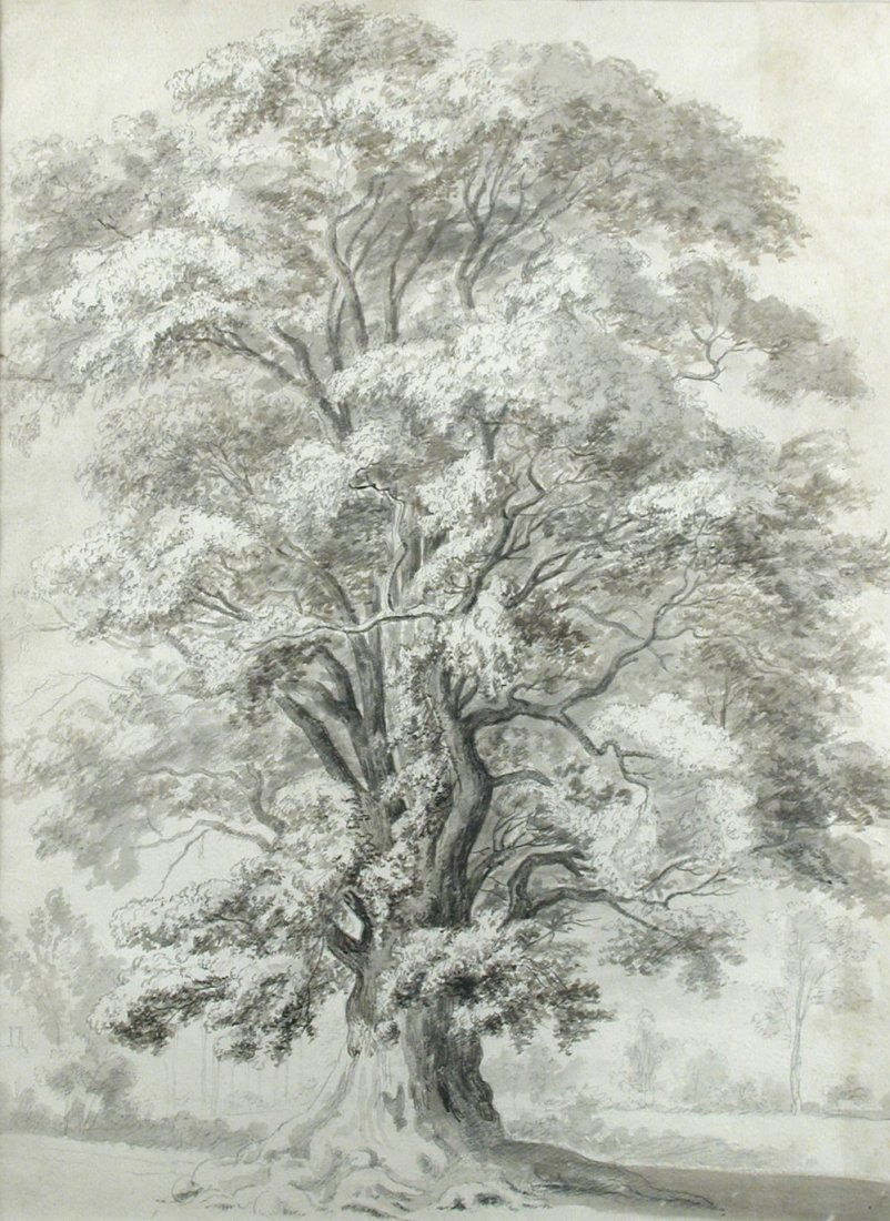 Hendrik Frans de Cort (Dutch, 1742-1810) - The great: Hendrik Frans de Cort (Dutch, 1742-1810) The great Elm in Lord Suffolk's ground, Wiltshire, a boundary tree known in the 'Old Maps of Wiltshire' inscribed with title to the reverse pencil 62 x 46cm (2