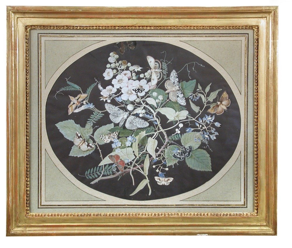 Attributed to Samuel Dixon (Irish, fl.1748-1769) - A: Attributed to Samuel Dixon (Irish, fl.1748-1769) A pair of George II basso-relievo gouache still life of moths and foliage basso-relievo gouache oval, in rectangular gilt frames (2) 26 x 32cm (10 x 12