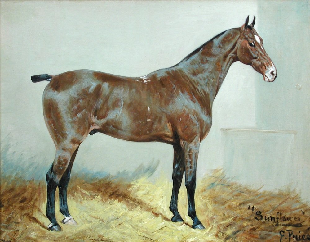 George Paice (1854-1925) - Sunflower, a racehorse -: George Paice (British, 1854-1925) Sunflower, a racehorse signed lower right "Sunflower, G Paice" oil on canvas 35 x 44cm (14 x 17in)