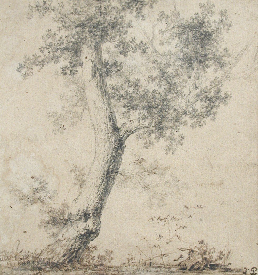 Jean-Baptiste Le Prince (French, 1734-1781) - Study of: Jean-Baptiste Le Prince (French, 1734-1781) Study of a Tree inscribed lower right "J. Le P" black chalk and black wash on brown paper 18½ x 17cm (7 x 7in)