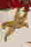 item-66784441=6