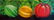 Latin American Art Fernando Montoya Realism Vegetables - 2