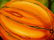 Latin American Art Fernando Montoya Realism Vegetables - 8