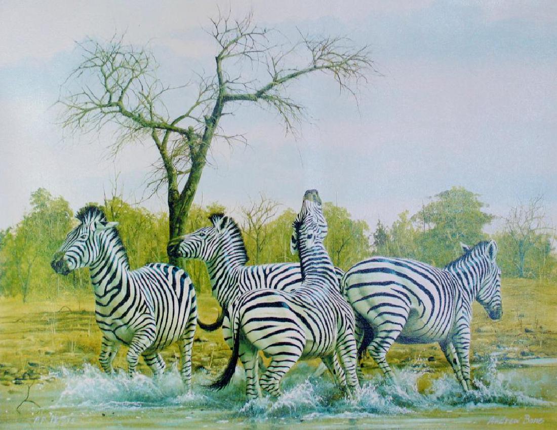 Zebra Signed Colorful Canvas Limited Ed Dealer Sale: Zebra Signed Colorful Canvas Limited Ed Dealer Sale