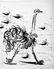 Pablo Picasso 'After' Ostrich c. 1937 Fine Art Print - 2