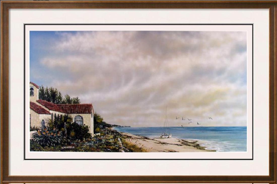 Beach Scene With Birds Fantastic Price Only $20 (1 of 2)
