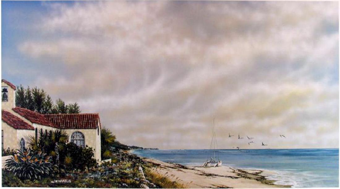 Beach Scene With Birds Fantastic Price Only $20 (1 of 2)