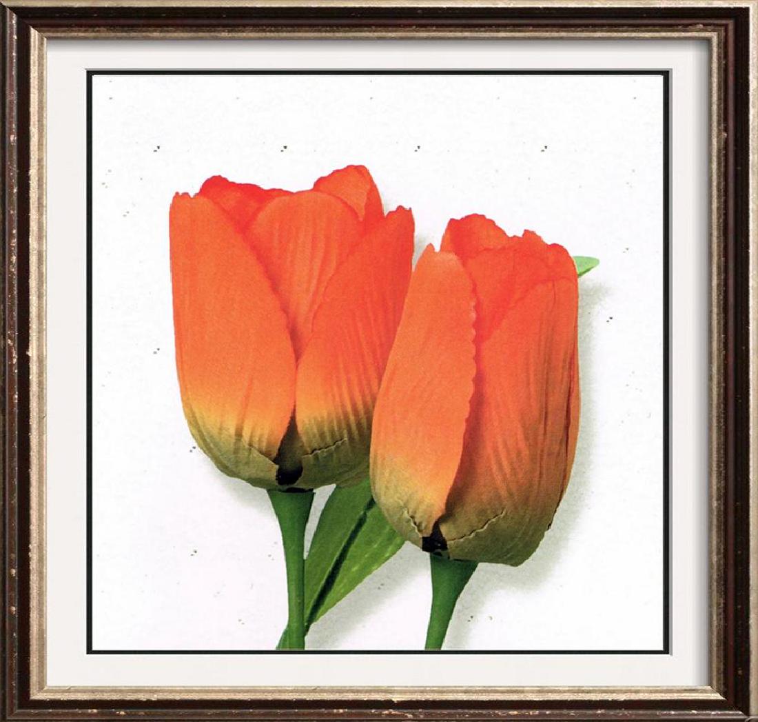 Orange Tulip Canvas Beautiful Modern Floral Giclee (1 of 2)