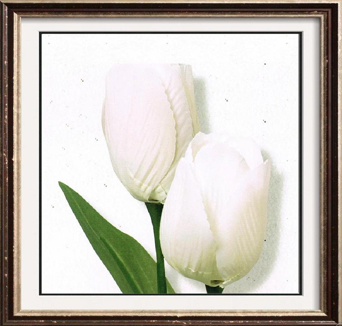 White Tulip Canvas Beautiful Modern Floral Giclee (1 of 2)