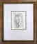 PICASSO PORTRAIT ABSTRACT LINE DRAWING