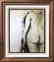 Federico Richi Plate Sixteen The Art of Love c.1970