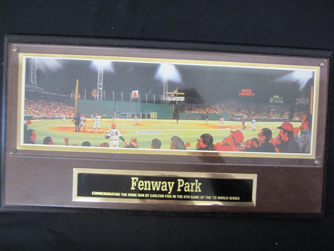 Carlton Fisk Home Run World Series framed photo (1 of 1)
