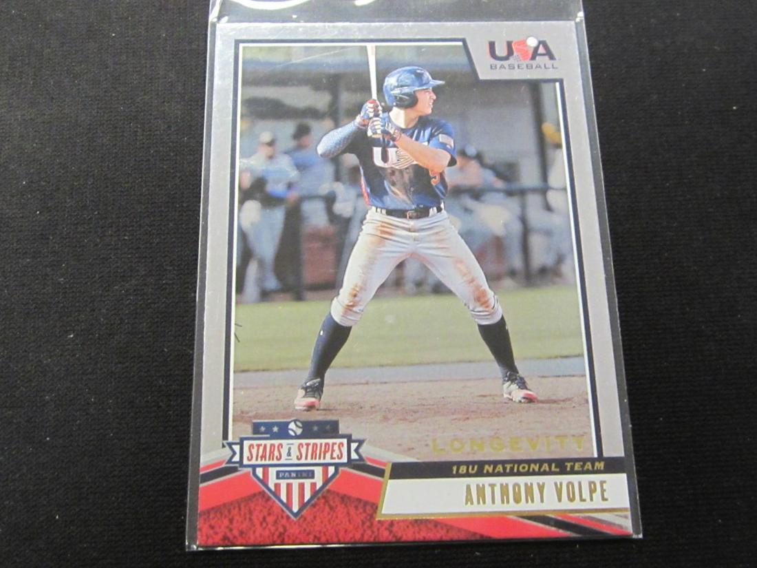 2019 USA BASEBALL LONGEVITY ANTHONY VOLPE: 2019 USA BASEBALL STARS AND STRIPES LONGEVITY ANTHONY VOLPE 18U