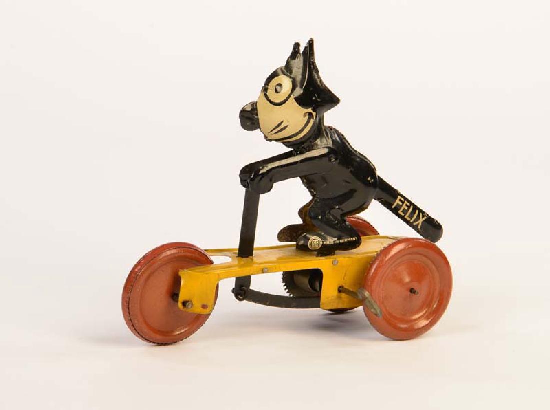 Guenthermann, Kater Felix auf Hollaender (1 of 1)