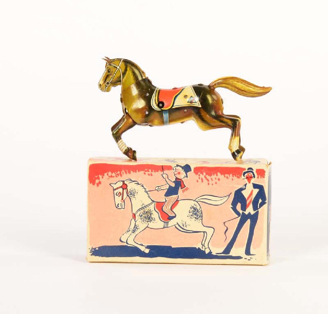 Arnold, Dressurpferd (1 of 1)