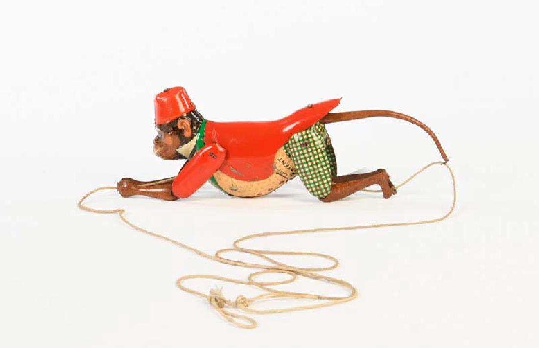 Lehmann, Affe Tom (1 of 1)