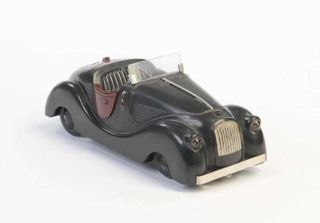 Caju, Sportmodell (1 of 1)