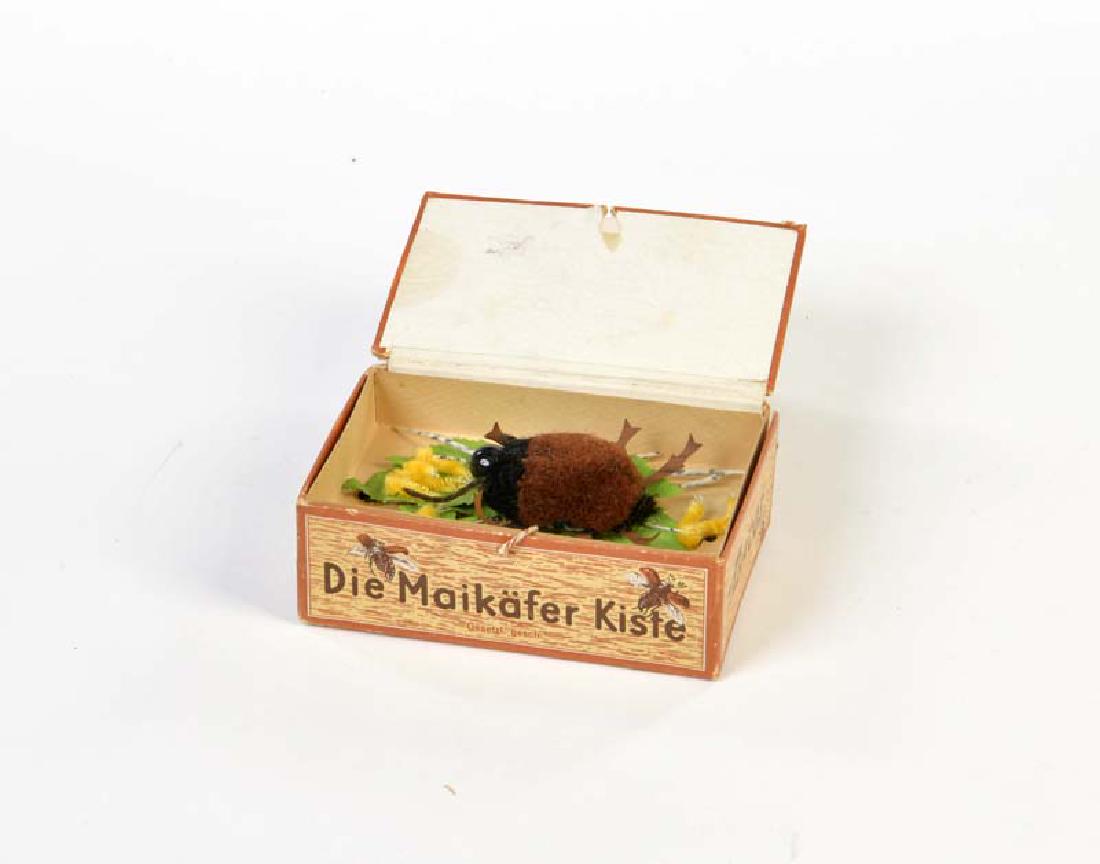 Maikaefer Kiste (1 of 1)