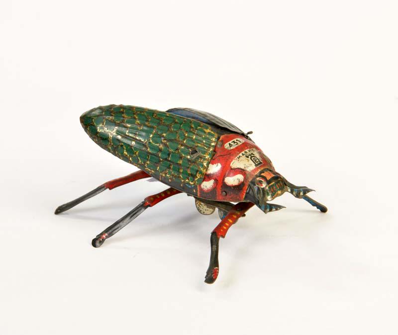 Lehmann, Kaefer 431 (1 of 1)