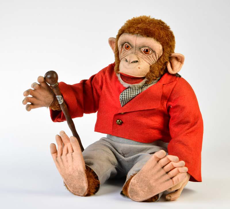 Großer Schimpanse (1 of 1)