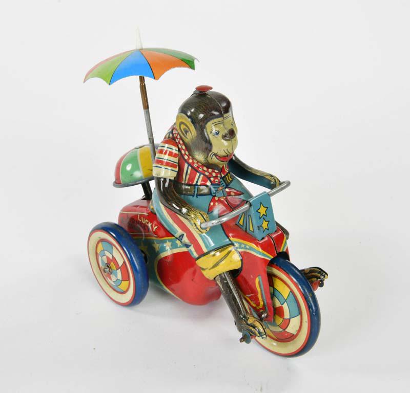 Alps, Lucky Monkey Cycle (1 of 3)